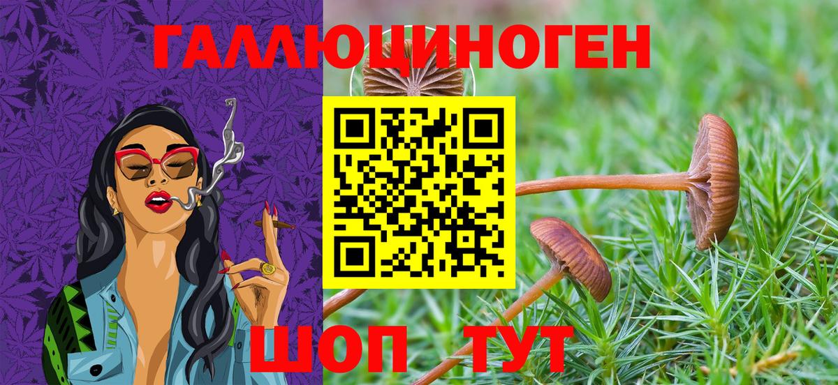 Псилоцибиновые грибы мицелий  Псилоцибиновые грибы мухоморы  Ухта  Вход с VPN 